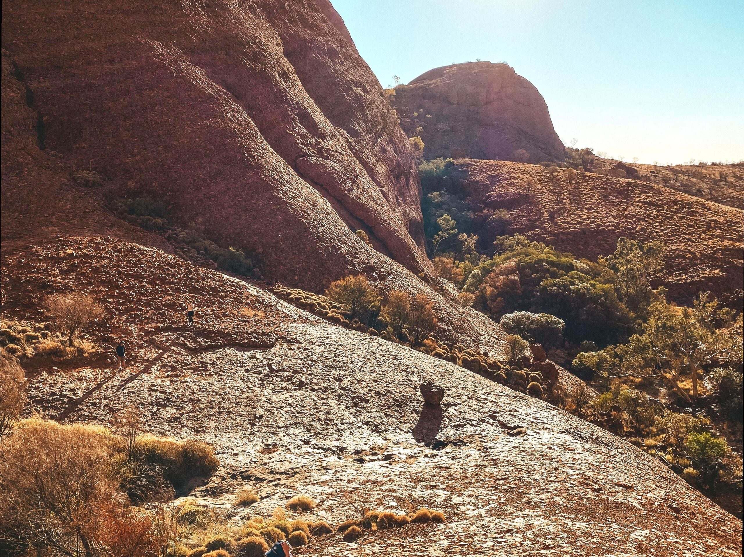 mollypitcher | Walking the Manngur Walk: Connecting with Nature