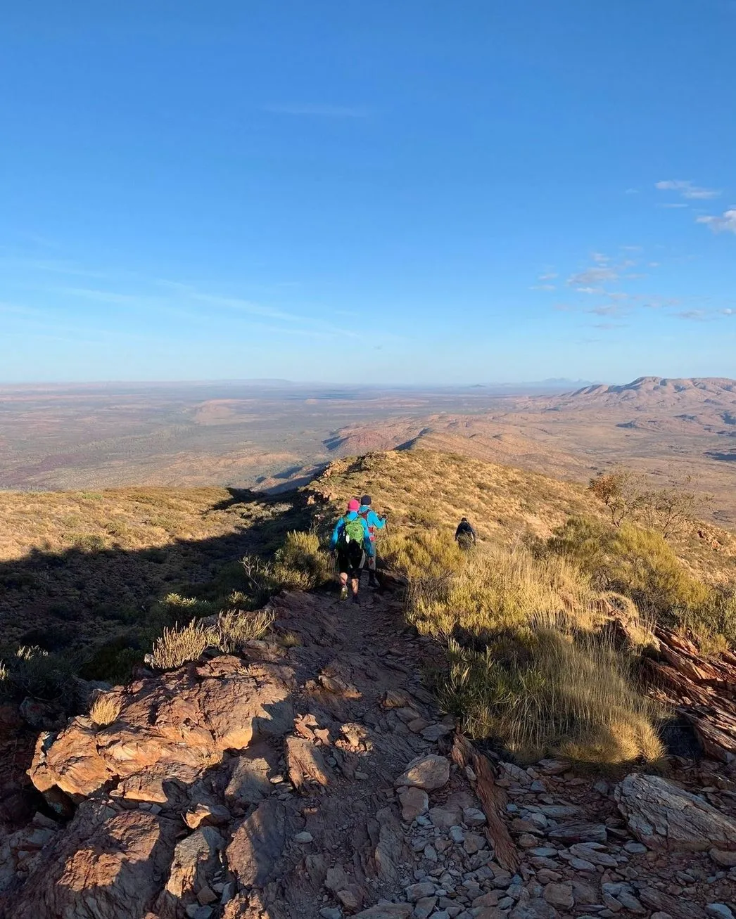 mollypitcher|Are There Snakes on the Larapinta Trail? Safety Tips