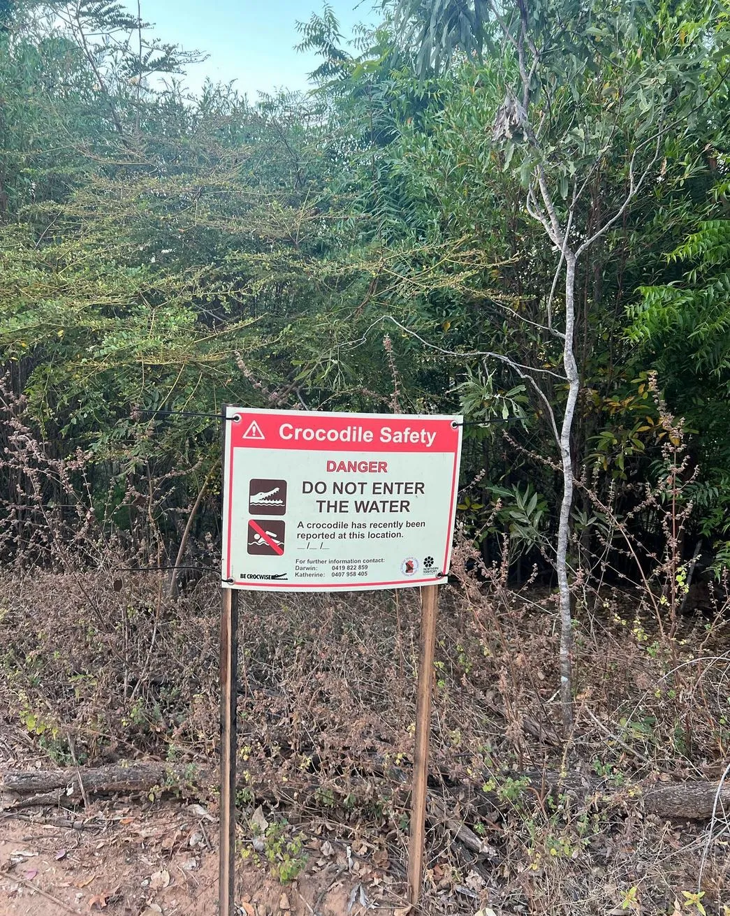 Crocodile Safety and Seasonal Monitoring