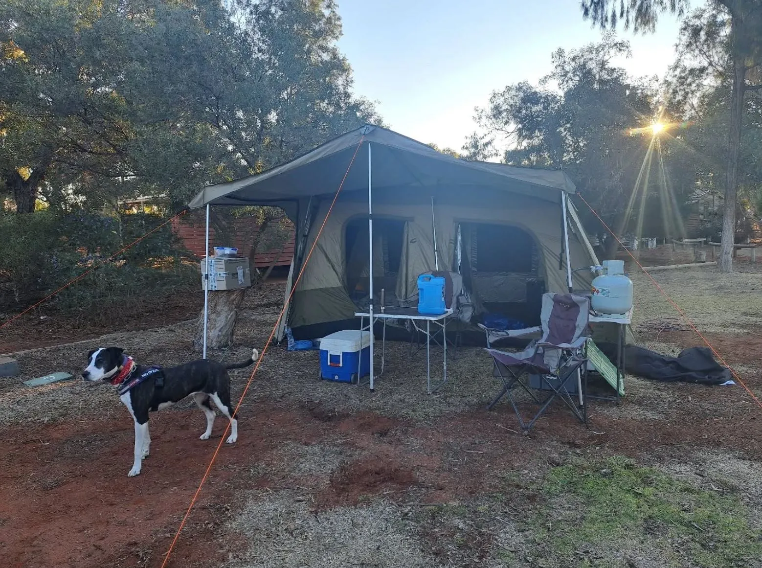 mollypitcher|Can You Free Camp at Uluru?